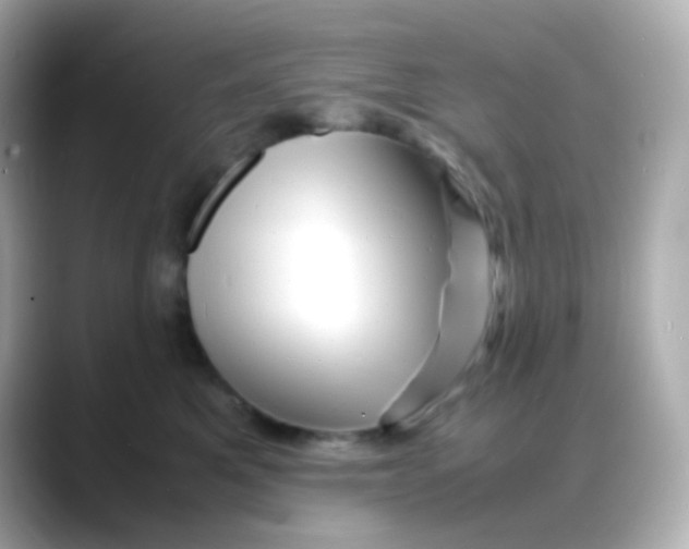 X0000088130521200706041951