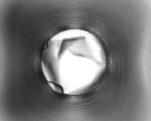 X0000088130522200706041951