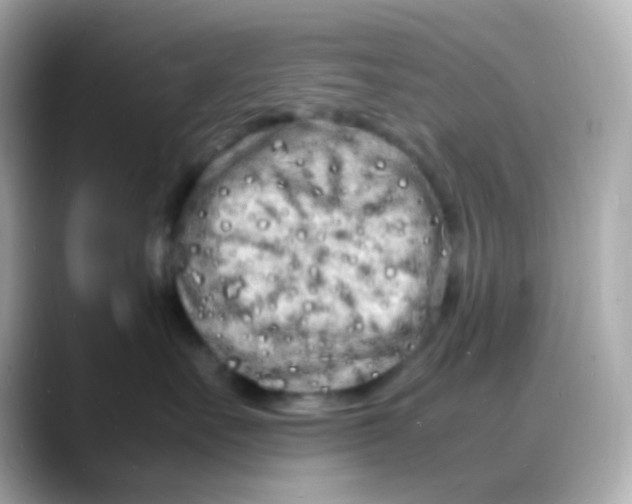 X0000088130527200706041951