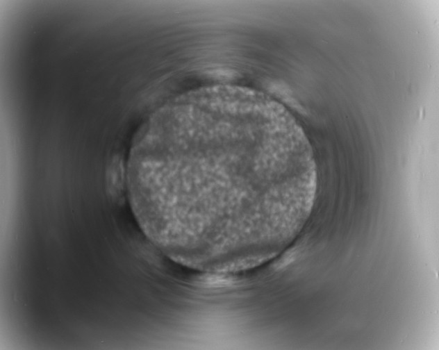 X0000088130528200706041951