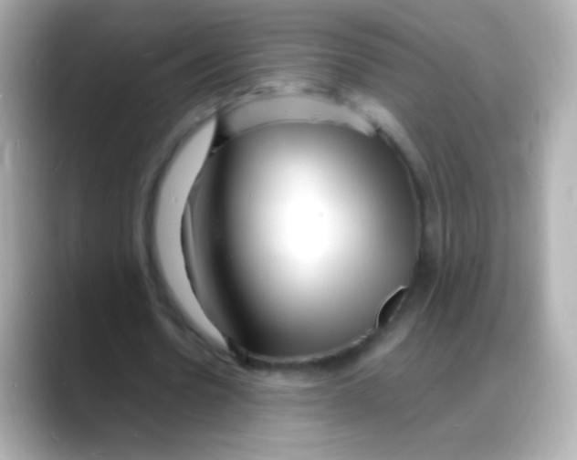 X0000088130530200706041950