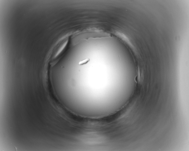 X0000088130531200706041950