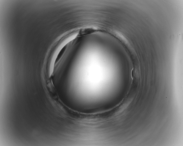 X0000088130532200706041950