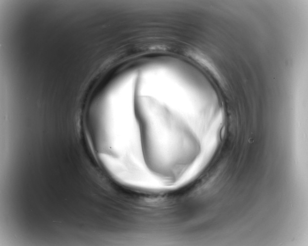 X0000088130537200706041950