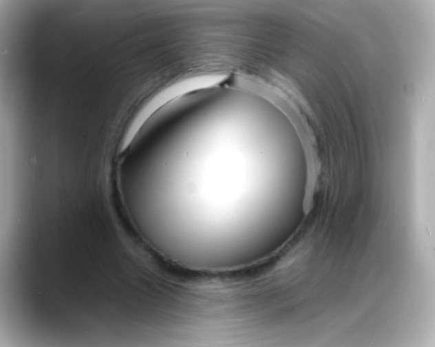 X0000088130538200706041950