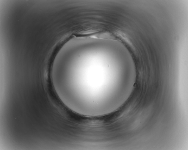 X0000088130539200706041950