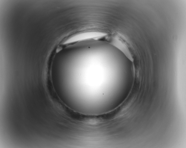 X0000088130540200706041950