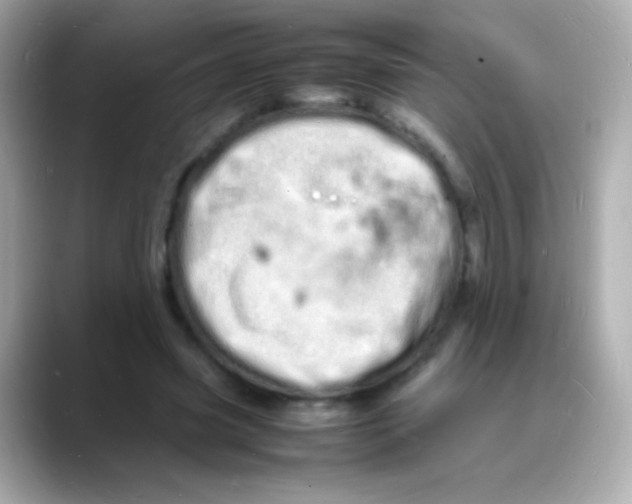 X0000088130541200706041950