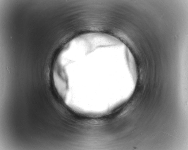 X0000088130542200706041950