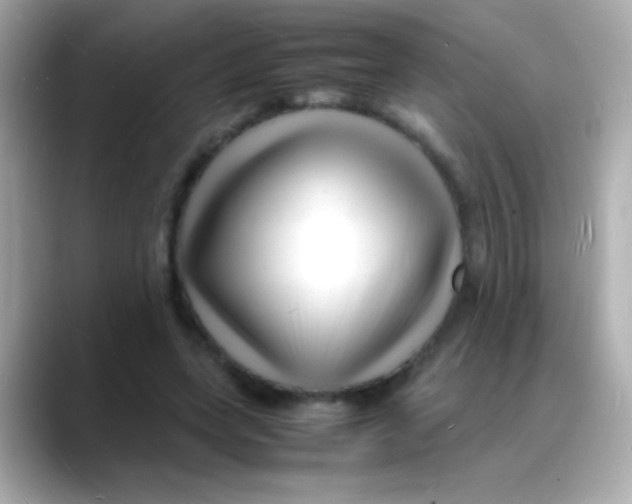 X0000088130543200706041950