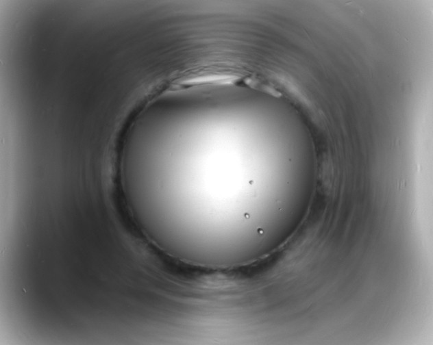 X0000088130544200706041950