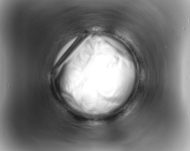 X0000088130545200706041950