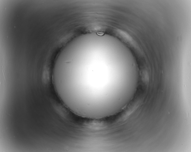 X0000088130546200706041950