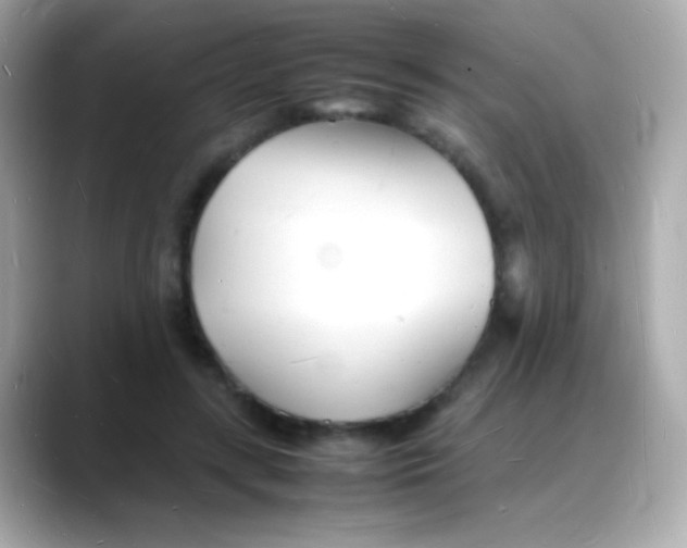 X0000088130547200706041950