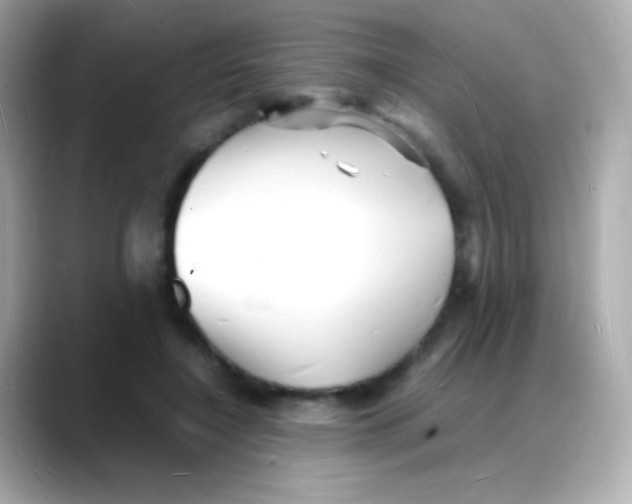 X0000088130548200706041950