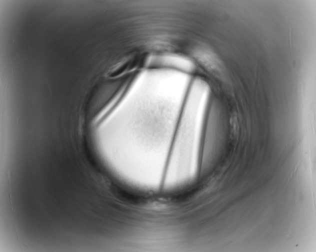 X0000088130550200706041951