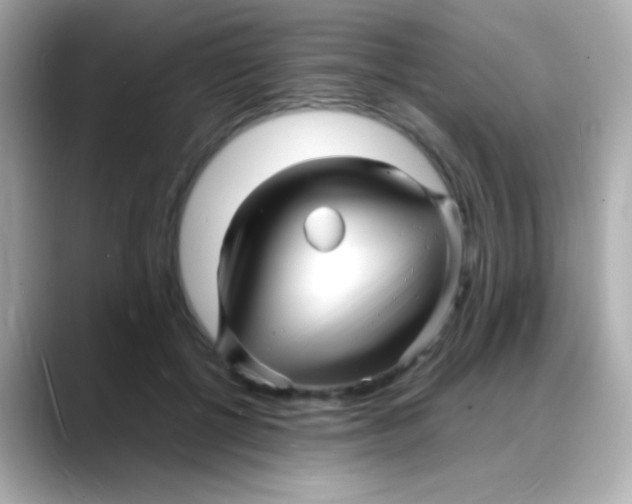 X0000088130552200706041951