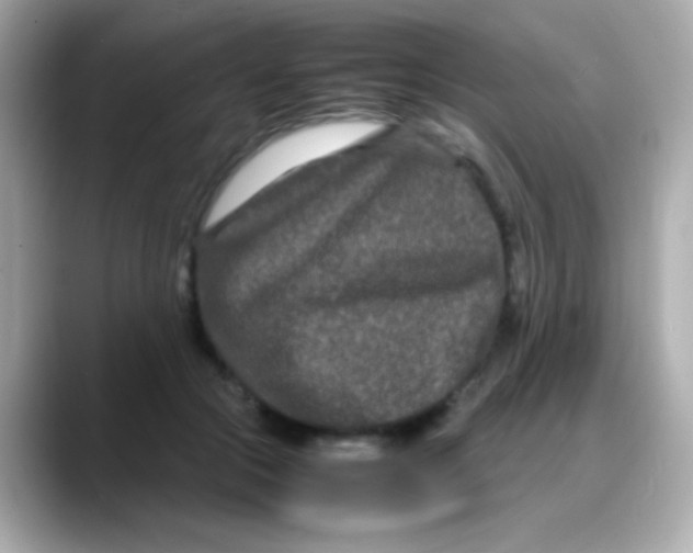 X0000088130553200706041951