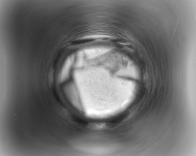 X0000088130554200706041951