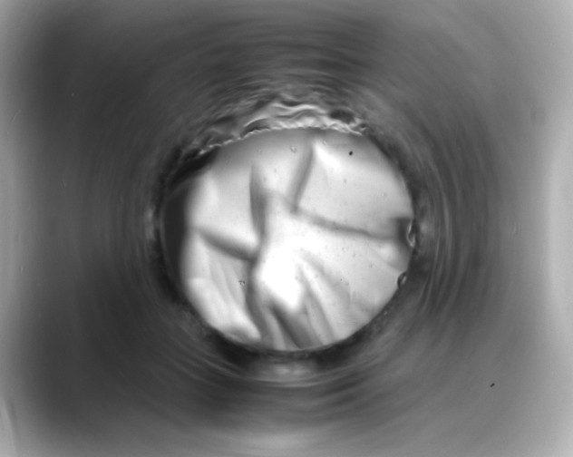 X0000088130555200706041951