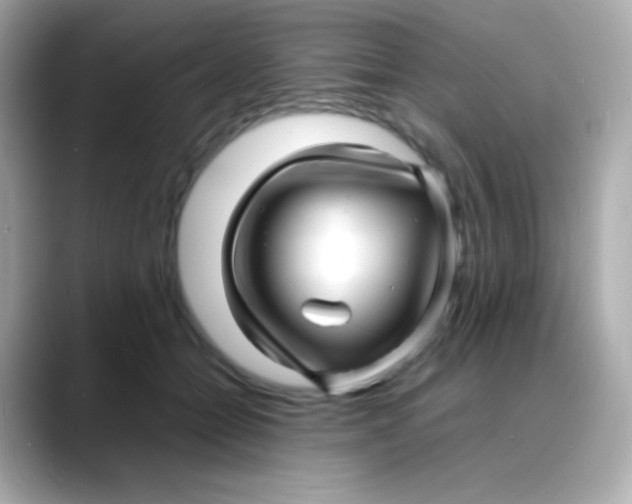 X0000088130558200706041951