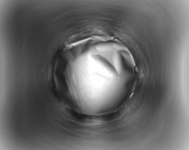 X0000088130559200706041951