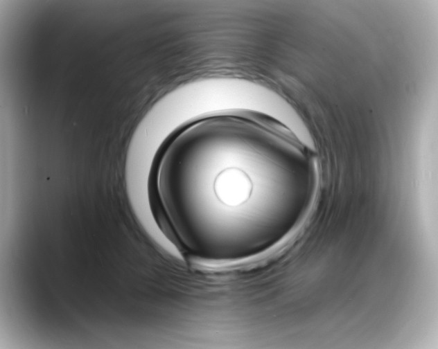 X0000088130560200706041951