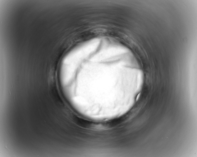 X0000088130561200706041951