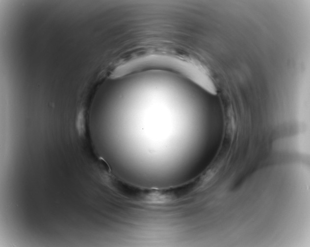 X0000088130562200706041951