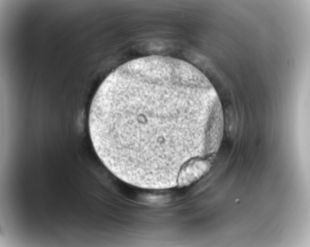 X0000088130563200706041951