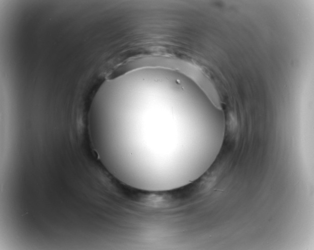 X0000088130566200706041951