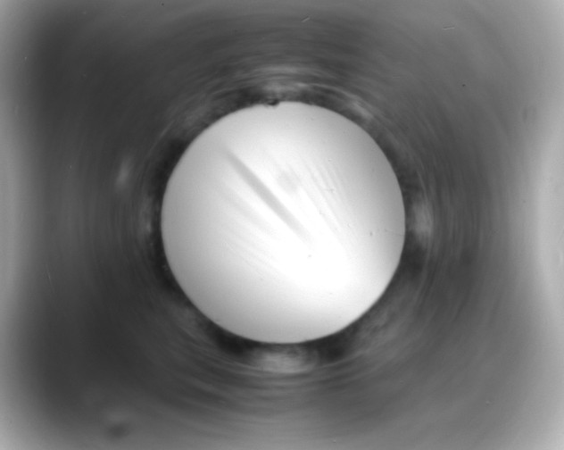 X0000088130567200706041951