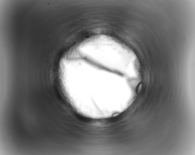 X0000088130569200706041951