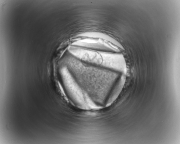 X0000088130570200706041951