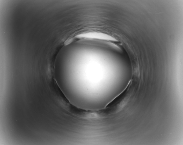 X0000088130572200706041951