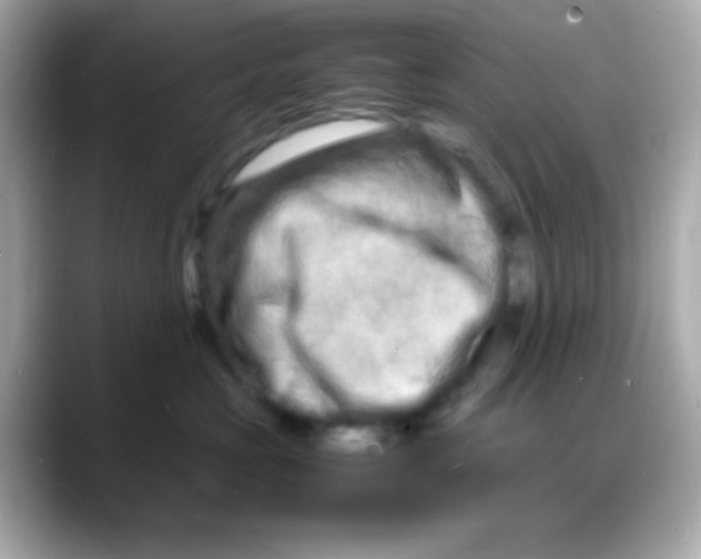 X0000088130573200706041951