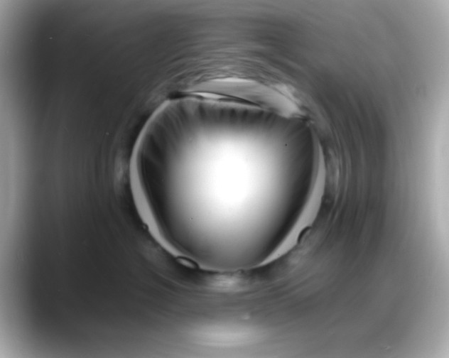 X0000088130574200706041951