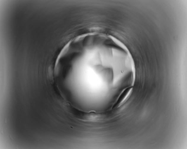 X0000088130575200706041951