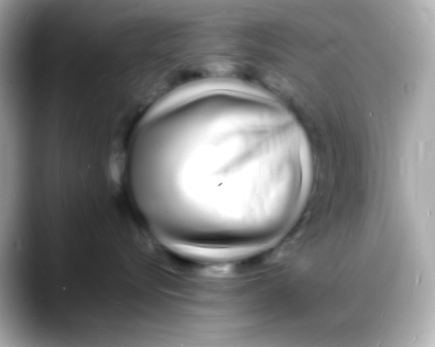 X0000088130576200706041951