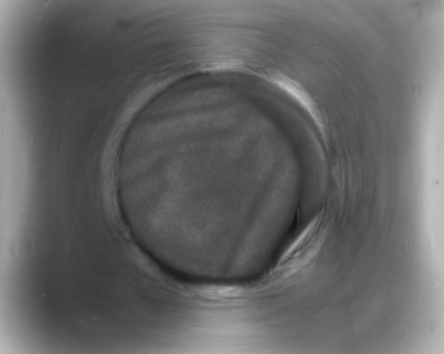 X0000088130577200706041950