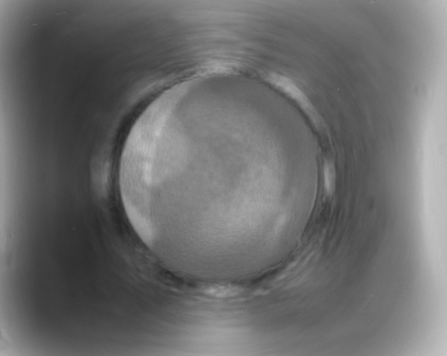 X0000088130579200706041950