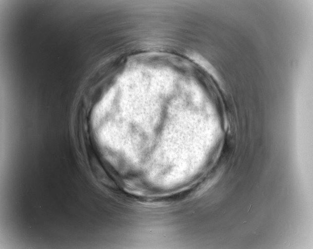 X0000088130581200706041950