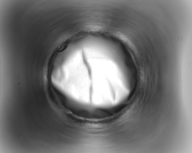 X0000088130582200706041950