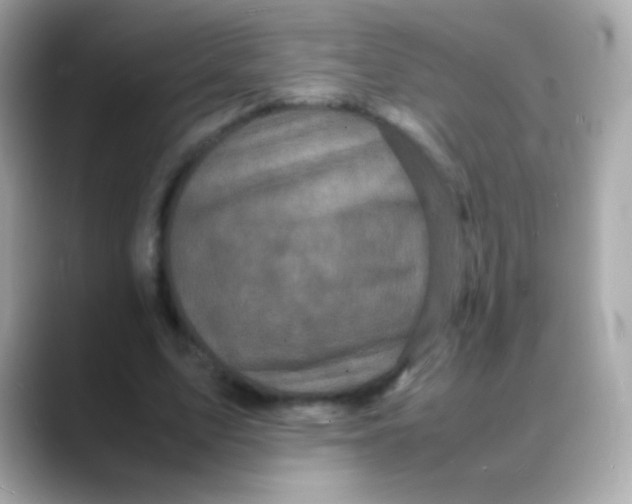 X0000088130583200706041950