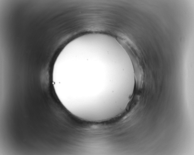 X0000088130584200706041950