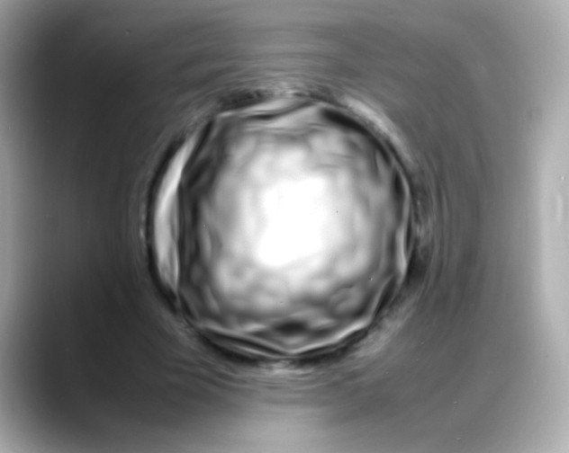 X0000088130585200706041950