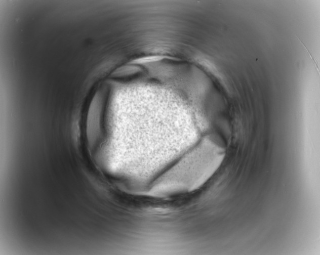 X0000088130586200706041950