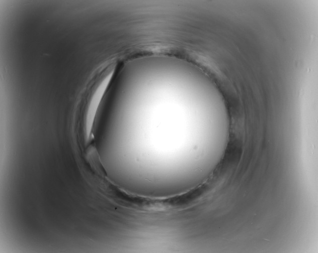 X0000088130587200706041950