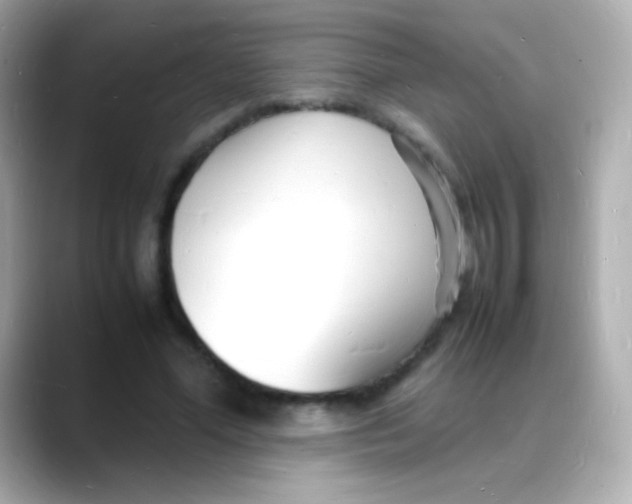 X0000088130588200706041950