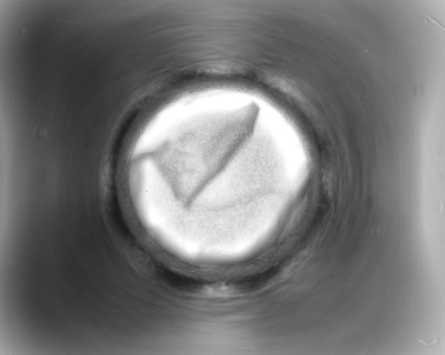 X0000088130591200706041950